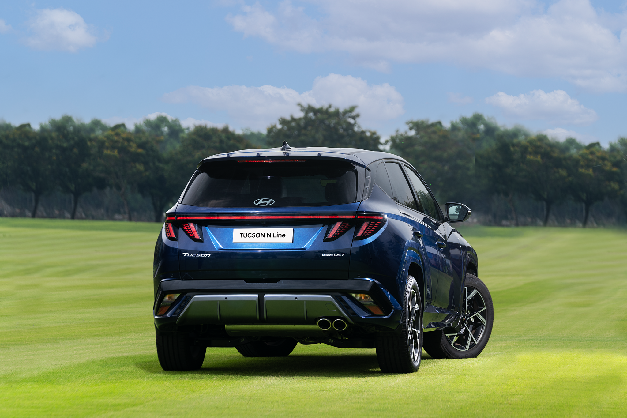 ảnh 4.png ảnh 4.png