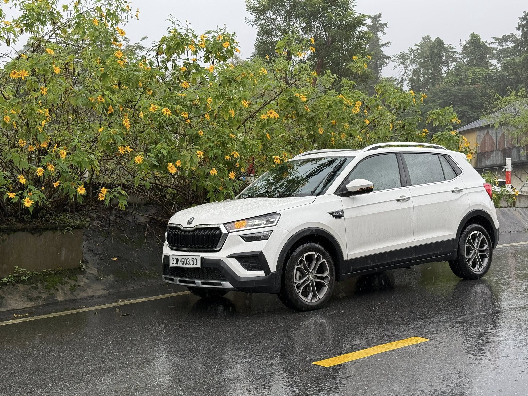 Skoda Kushaq .jpg