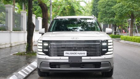 palisade.jpeg