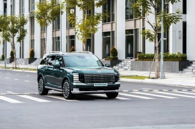 Palisade Hybrid_6.jpg