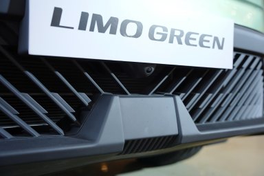 Limo Green (4).jpg