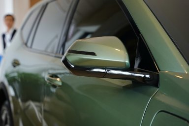 Limo Green (12).jpg