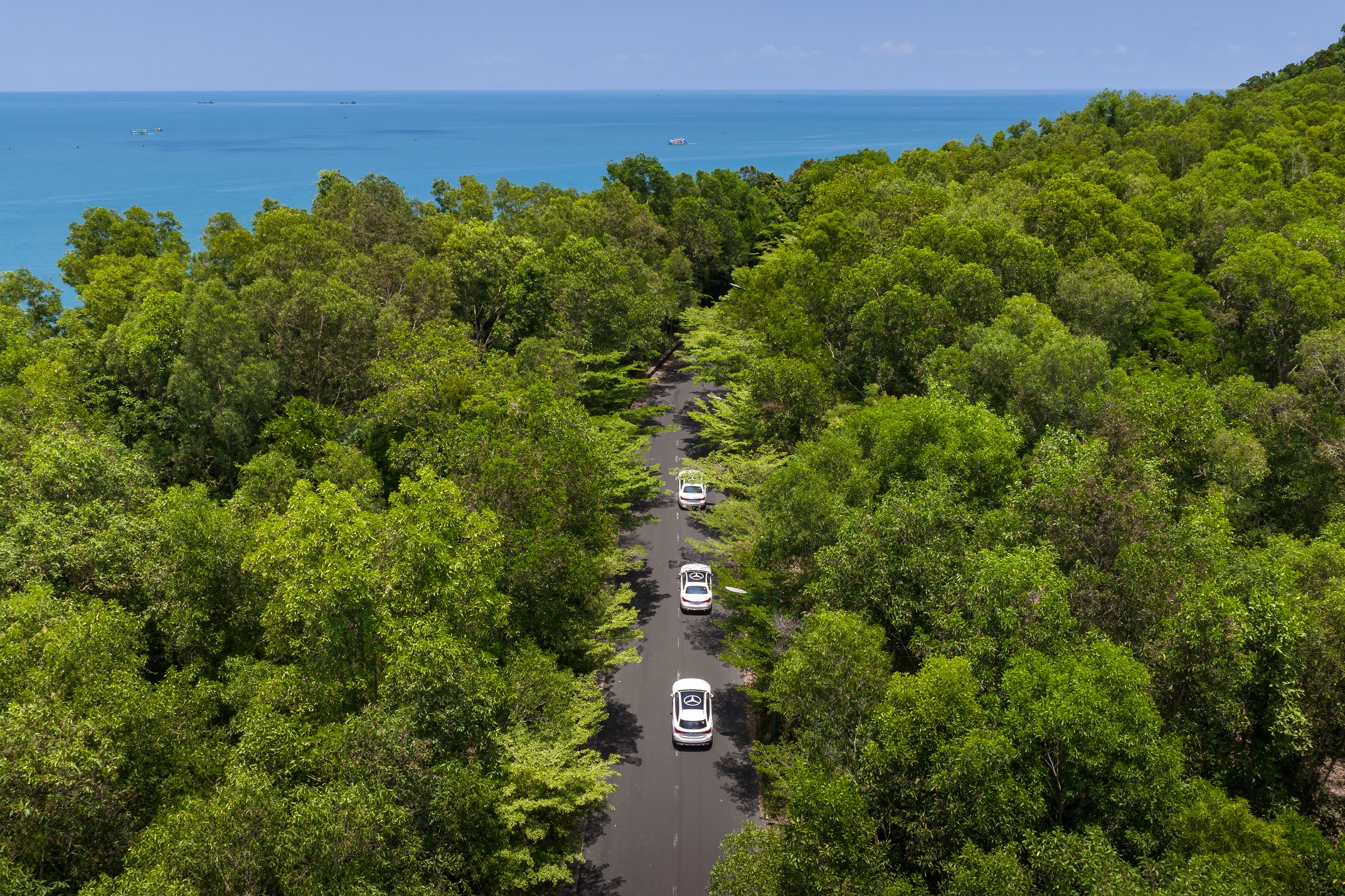 Mercedes-Benz Việt Nam  (1).jpg