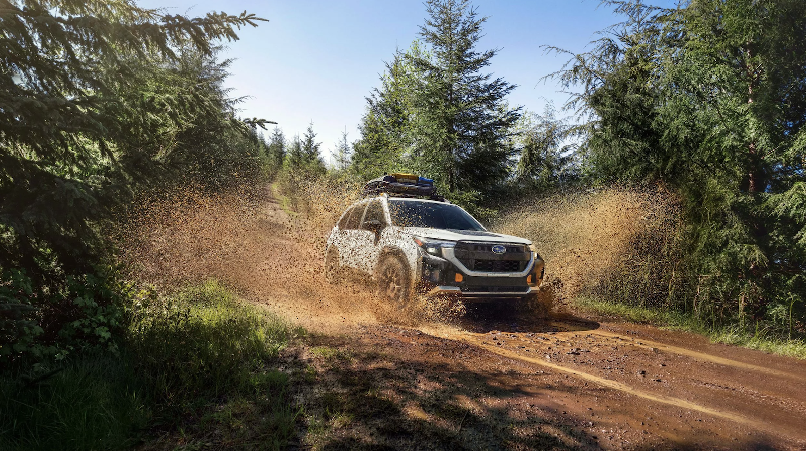 Subaru Forester Wilderness 2026 2025-08-29 lúc 22.16.46.png