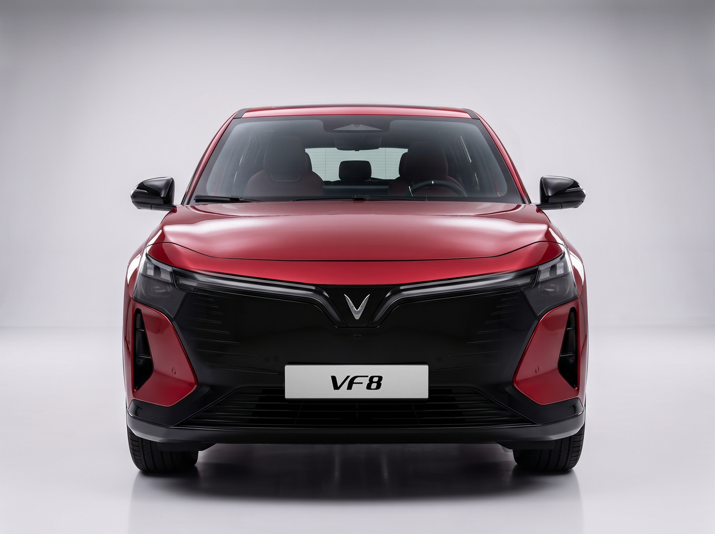 VF 8 1 (1).jpg