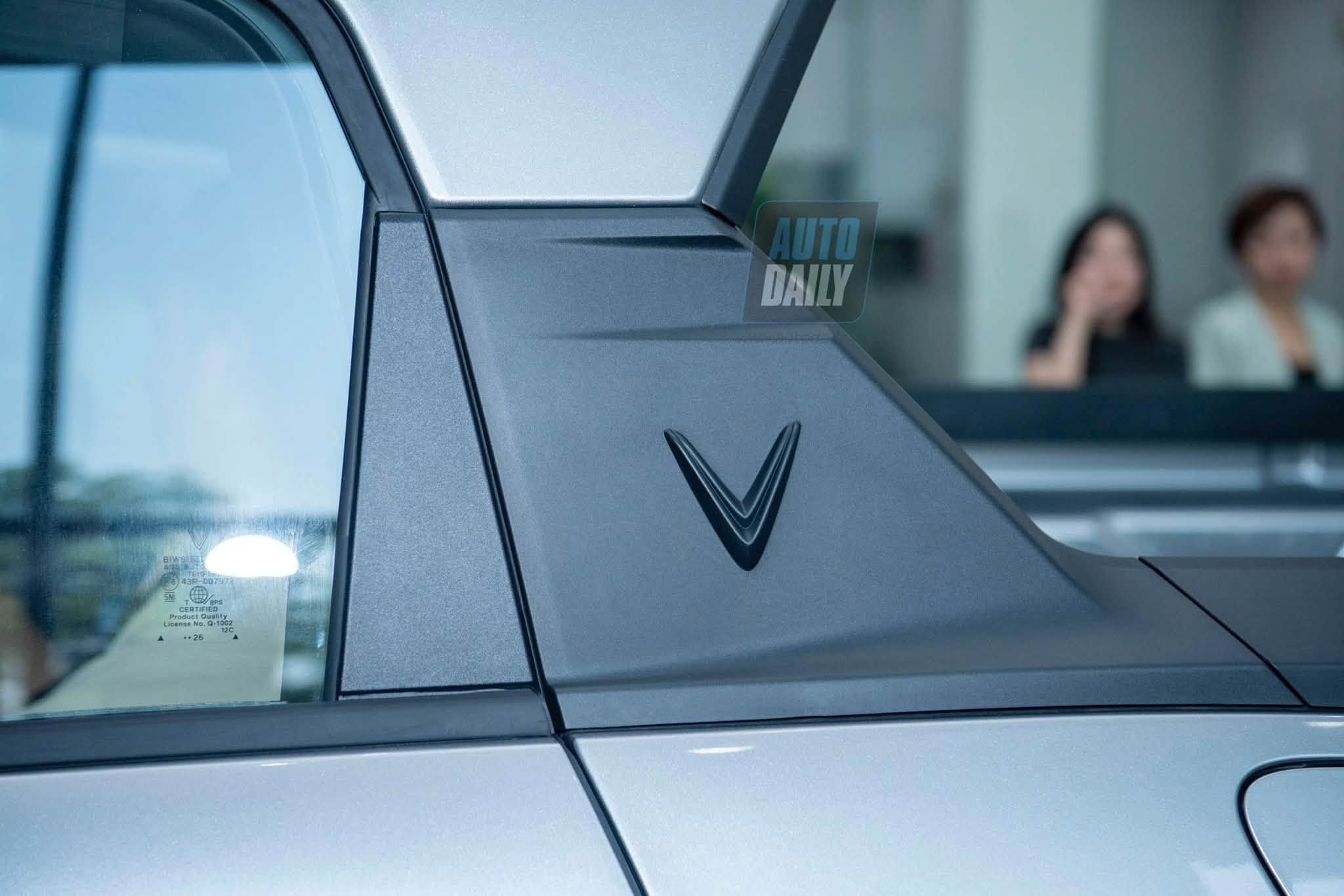 VF Wild 19.jpg