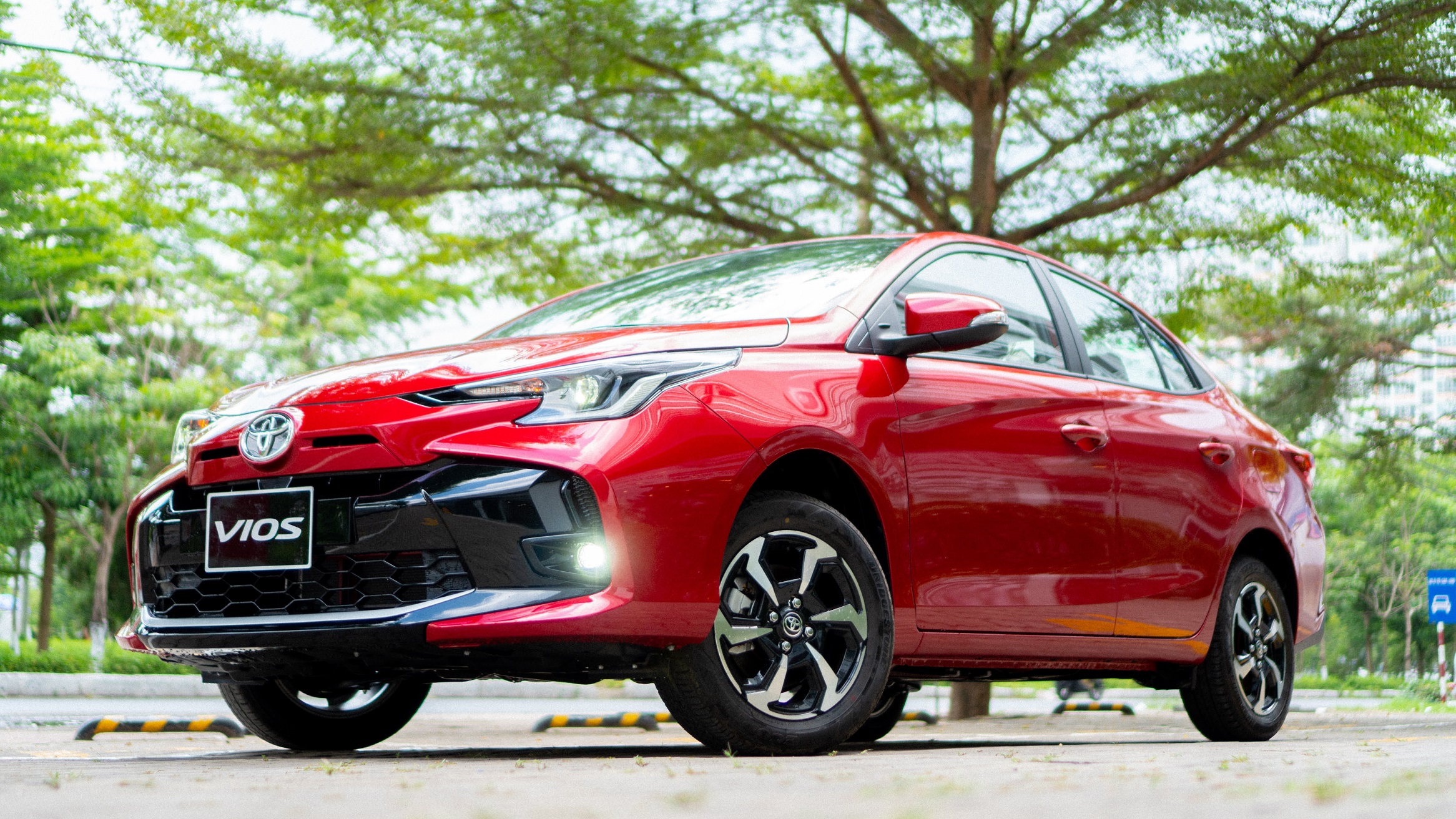 Vios (11).jpg