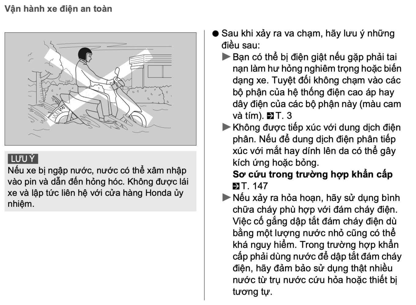 xe-dien-01.jpg