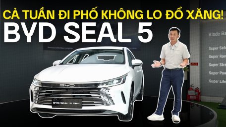 seal5.jpg