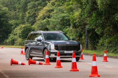 Hyundai Palisade-5.JPG