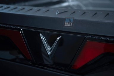 VF Wild 9.jpg